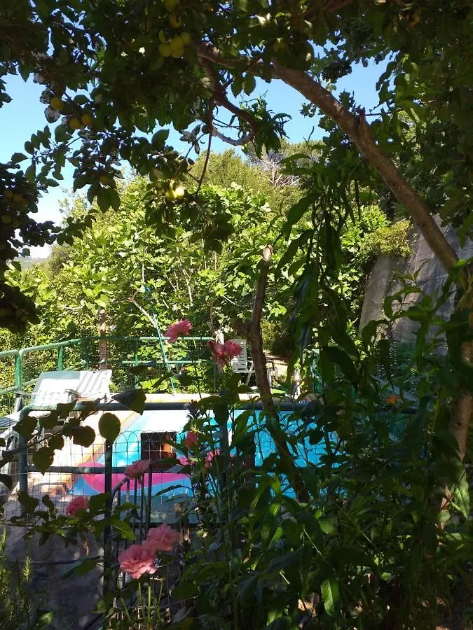 Chalet Su Foxile Aritzo 0*,  Italia