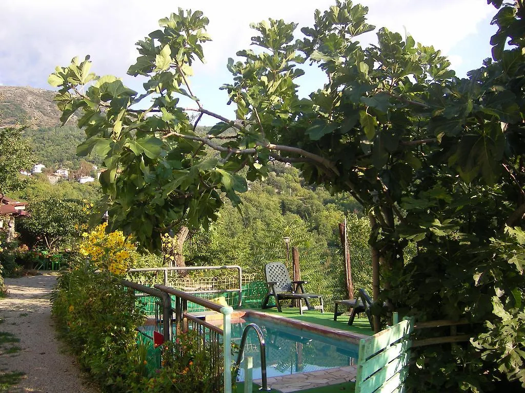 Chalet Su Foxile Aritzo